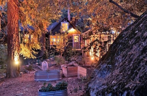 Pine Cove Cabina | Secluded mystical cabin in Idyllwild-Pine Cove