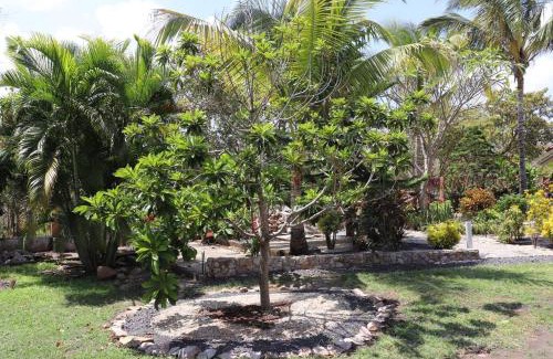 El Palmar Casa | Secluded Ocean Front Overlooking the Marina