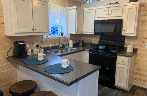 Franklin Cabina | Secluded Storybook Cabin -Dog Friendly with Fenced Yard and WIFI.