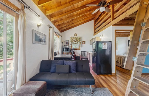 Stone Haven Cabina | Secluded Sunset Point mountain top cabin, wifi, Dish TV, firepit