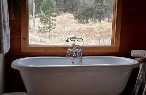 California Hot Springs Cabina | Secluded Log Cabin in the Sequoia National Forest