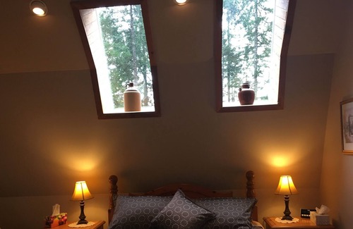 Shawnigan Lake Chalet De Esquí | Aislamiento en 4 acres privados.
