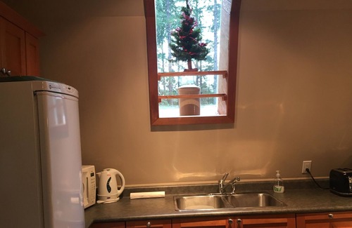 Shawnigan Lake Chalet De Esquí | Aislamiento en 4 acres privados.