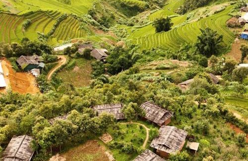 Mu Cang Chai Hotel | See bungalow mu cang chai