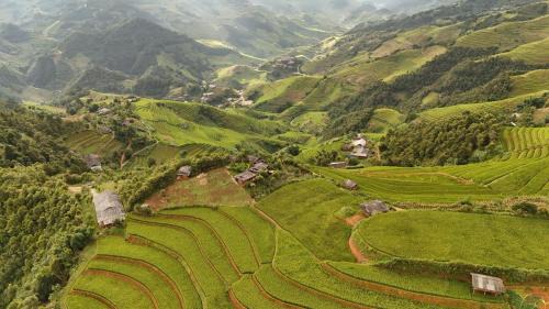 Mu Cang Chai Hotel | See bungalow mu cang chai