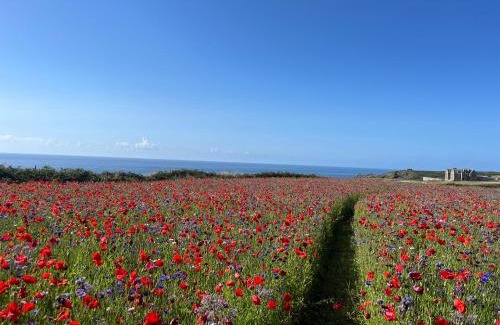 St Just Casa | See Two Seas, Cape Cornwall
