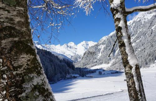 Racines Apartamento | Seeberhof