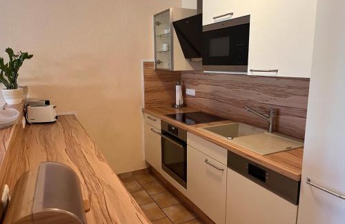 Grundlsee Apartamento | Seerhaus