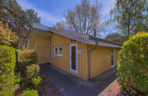 Mirow Casa | Seeschwalbe 225