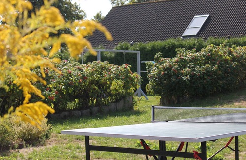 Gross Schwansee Apartamento | Seestern apartment - perfect for families with playground & garden, 15 min to the beach