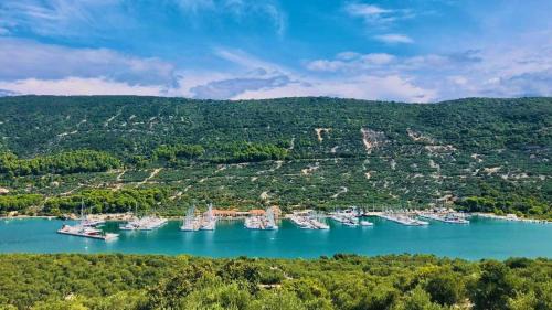 Cres Alquiler De Eote | Segelbooturlaub