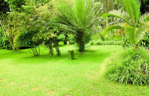 Bandaragama Casa | Seilka bungalow-encontrar la serenidad y la relajación