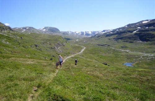Roldal Cabina | Seim Camping - Røldal