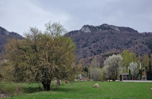 Moieciu Chalet De Esquí | Selah Cabin