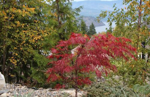 Blind Bay Cama Y Desayuno | Selah Retreat Guesthouse B&B