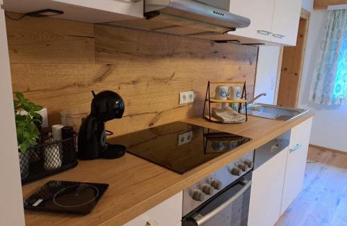 Lofer Apartamento | Selauerbauer