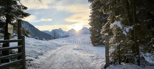 Lofer Apartamento | Selauerbauer