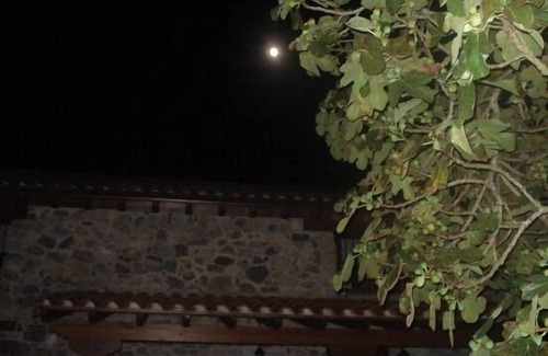Sinariega Cabaña | Casa rural (alquiler íntegro) La Quintana Sinariega para 8 personas