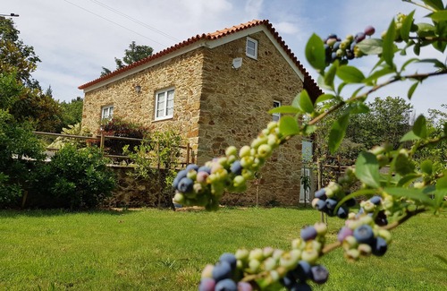 Sever do Vouga Cabaña | Casa rural (alquiler íntegro) Quinta do Sobreiral para 4 personas