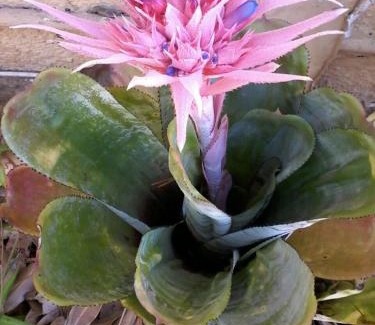 Sandbaai Casa | Self Catering Unit 6, Sandbaai