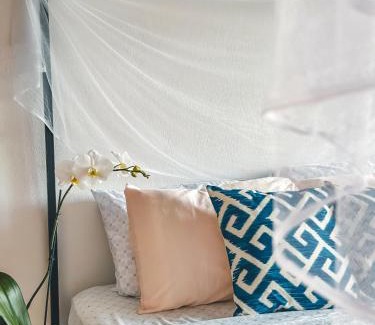 Cahuita Apartamento | Selva Madre Eco-Sanctuary