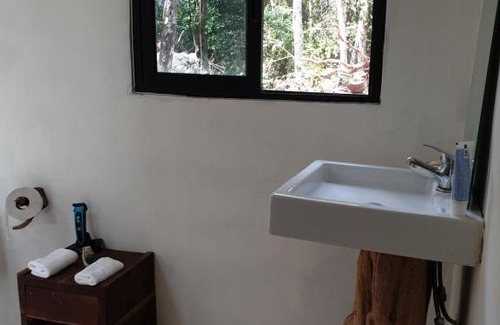 Macario Gómez Casa | SELVA ROCA