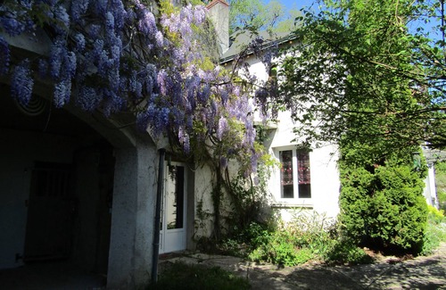 Nazelles-Negron Casa | Semi-Troglodyte House, 4 A 8 Sleeps - 5 Min D Amboise - Chateau View