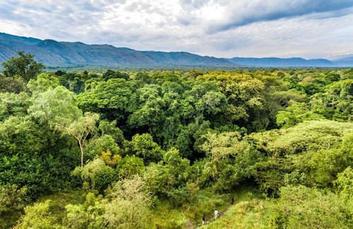 Western Region Hotel | Semliki Safari Lodge