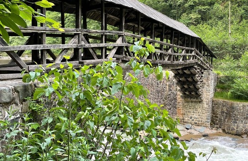 Cayeli Casa | Senoz Mountain House - Bungalow