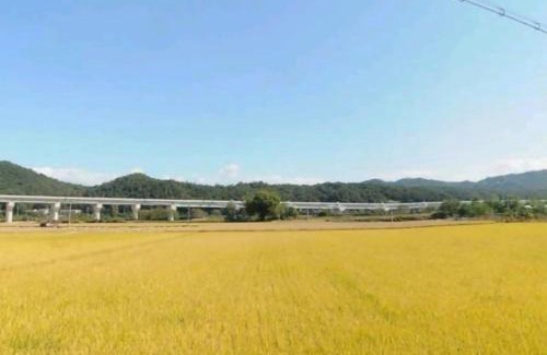 Yeongju Casa | Seoneulgimunhwa