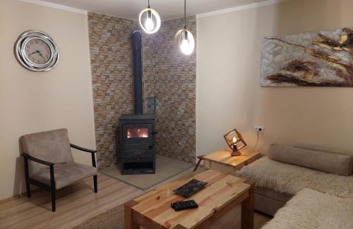 Tara National Park Chalet De Esquí | Seoska kuća Rakić - Tara
