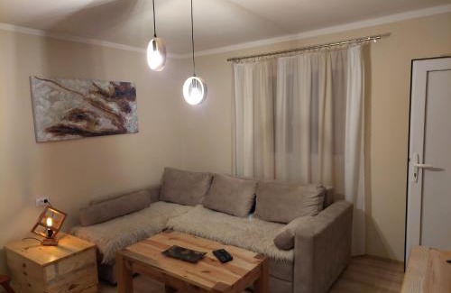 Tara National Park Chalet De Esquí | Seoska kuća Rakić - Tara