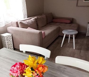 Bajina Basta Casa | Seosko domaćinstvo Selenić