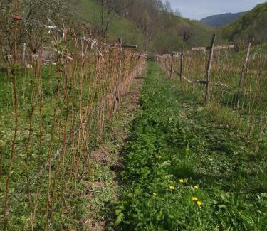 Montenegro Chalet De Esquí | Seosko Domacinstvo Rijeke
