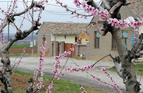 Vojvodina Casa | Seosko turističko domaćinstvo Biser