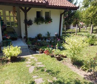 Valjevo Casa | Seosko turističko domaćinstvo "Klinačka priča"