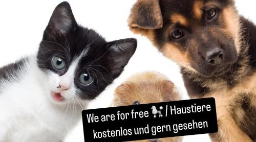 Bad Goisern Apartamento | Sepperls Stubn Apartment - PETS no extra cost - Bad Goisern - 24-hours Self check-in