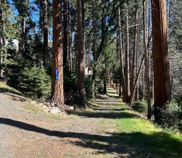 Posey Casa | Sequoia National Forest Cabin-ATV Ride