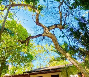 Habaraduwa Villa | Serandip villa