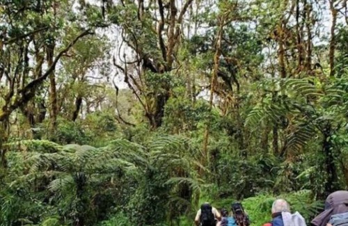 Moshi Otro | SERE ADVENTURE SAFARI