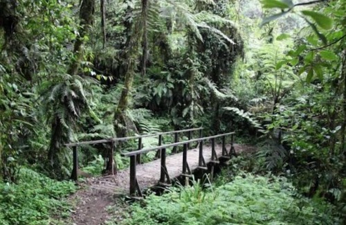 Moshi Otro | SERE ADVENTURE SAFARI