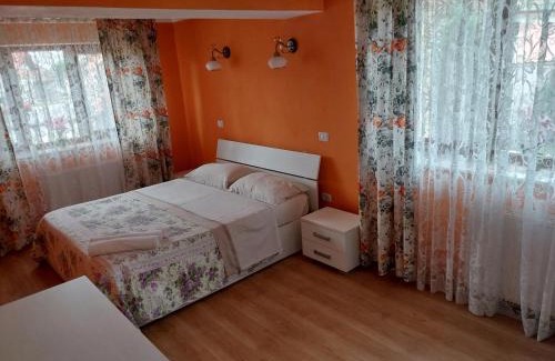 Cartisoara Casa | Serena House