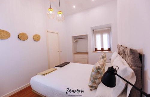 Centro histórico de Cáceres Apartamento | Serendipia
