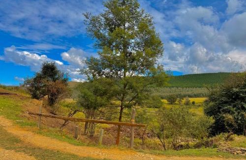 Merrivale Chalet De Esquí | Serendipity Guest Farm Byrne