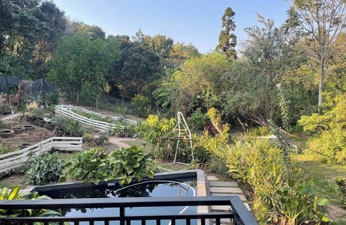 Kloof Casa | Serendipity Kloof House
