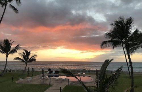 Maili Apartamento | *SERENDIPITY ON THE MOANA - Legal & Oceanfront - Great for Work & Play!*