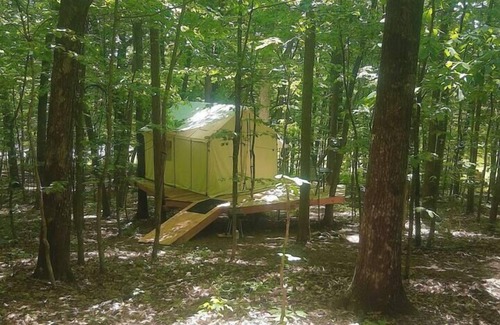 Grandview Cabina | Serene 7 Tree glamping site a romantic forest getaway