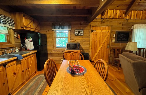 Flat Hollow Marina Cabina | Serene cabin with dock/swim platform in charming Speedwell