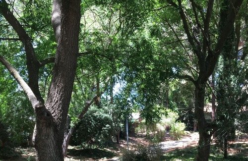 Covell Park Casa | SERENE GREENBELT lOCATON