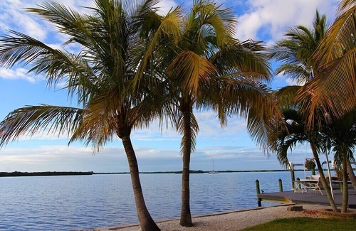 Palmetto Cabaña | Serene Island Cottage Waterfront Haven-pet friendly.